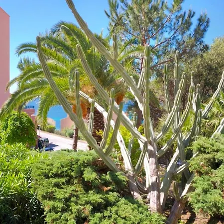 Sea & Garden View 10 Min To Beaches Apartment Ajaccio (Corsica)
